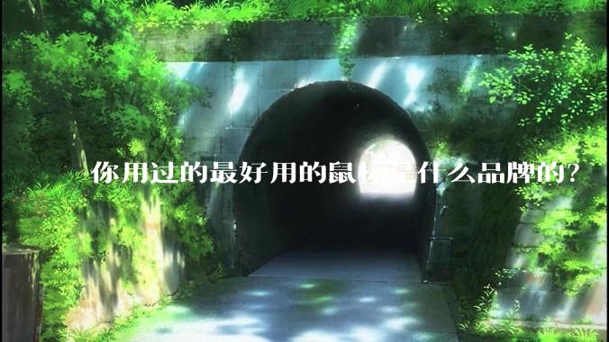 你用过的最好用的鼠标是什么品牌的？