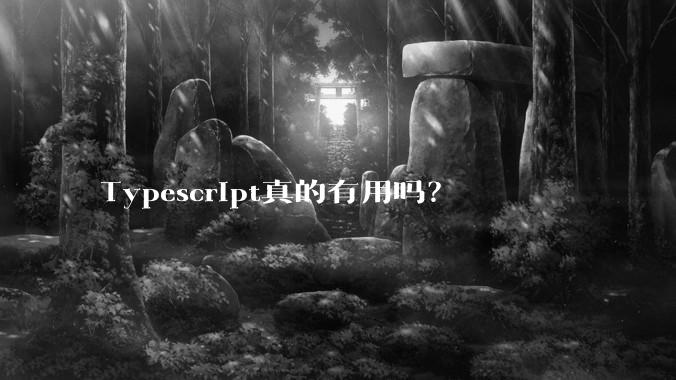 Typescript真的有用吗？