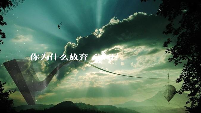 你为什么放弃了wsl？