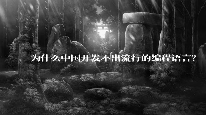 为什么中国开发不出流行的编程语言？