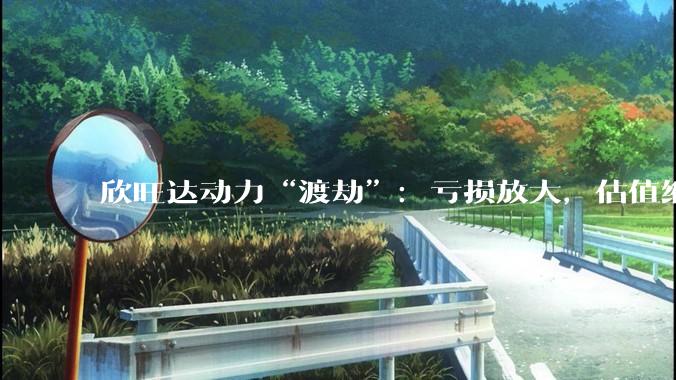 欣旺达动力“渡劫”：亏损放大，估值缩水百亿_融资_公司_资本公积转增