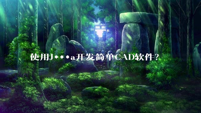 使用J***a开发简单CAD软件？